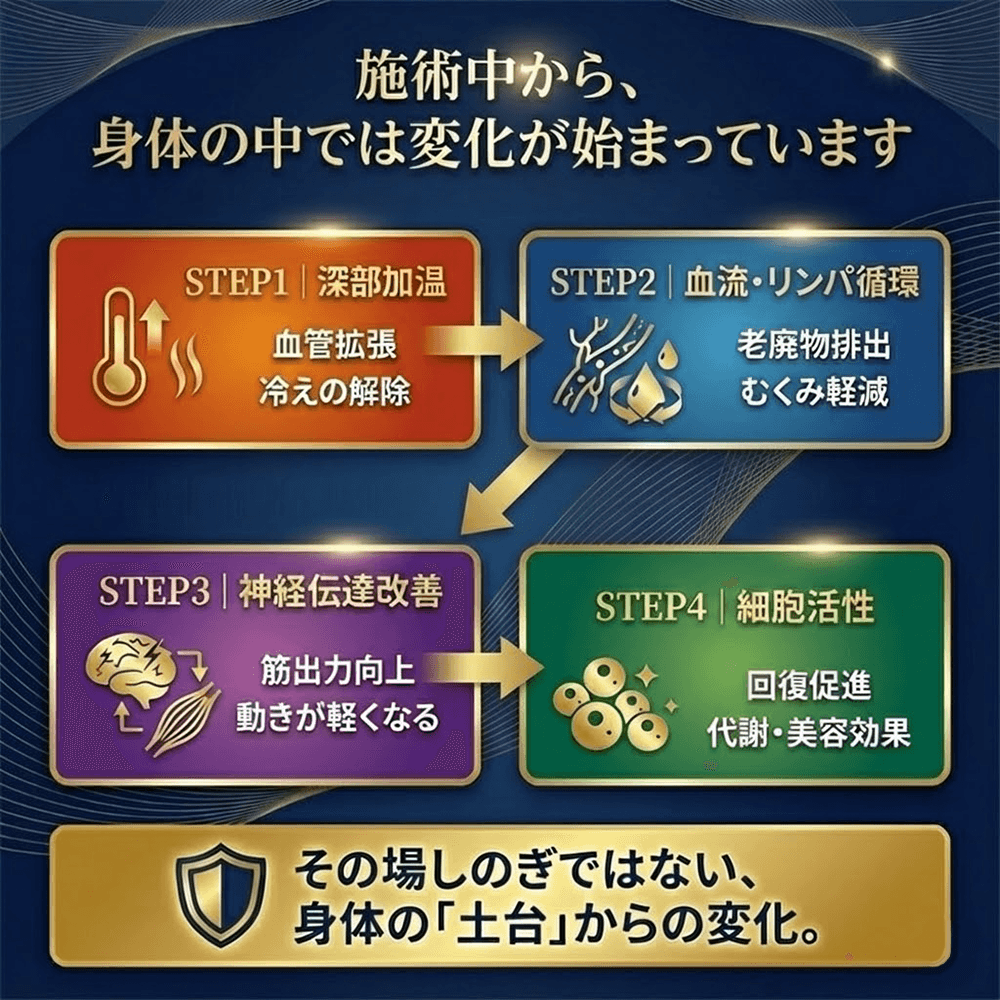 多機能性